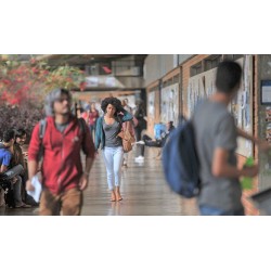 MEC abre inscrições para o Prouni 2023